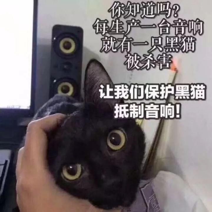 每生产一支口红,就有一只狗失去小丁丁,没有买