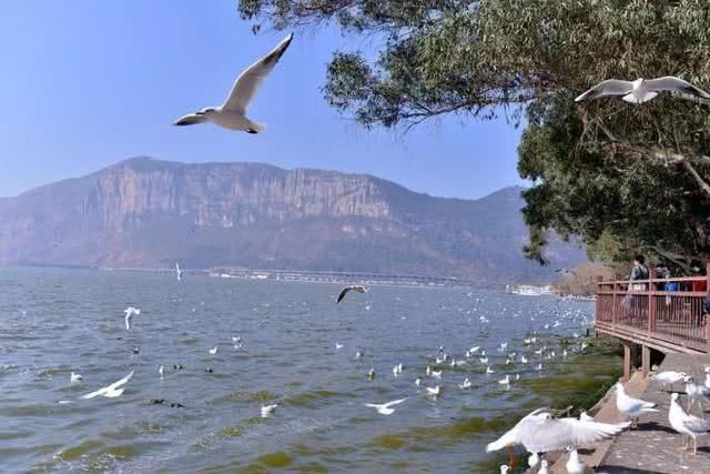 西南高铁大动静!国家规划一国际性高铁,直通东