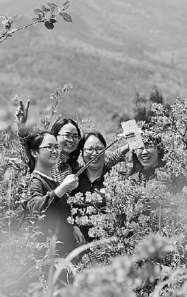 清明踏青好时节
