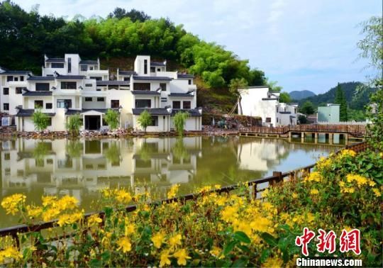乡村治理的 乡村治理的
