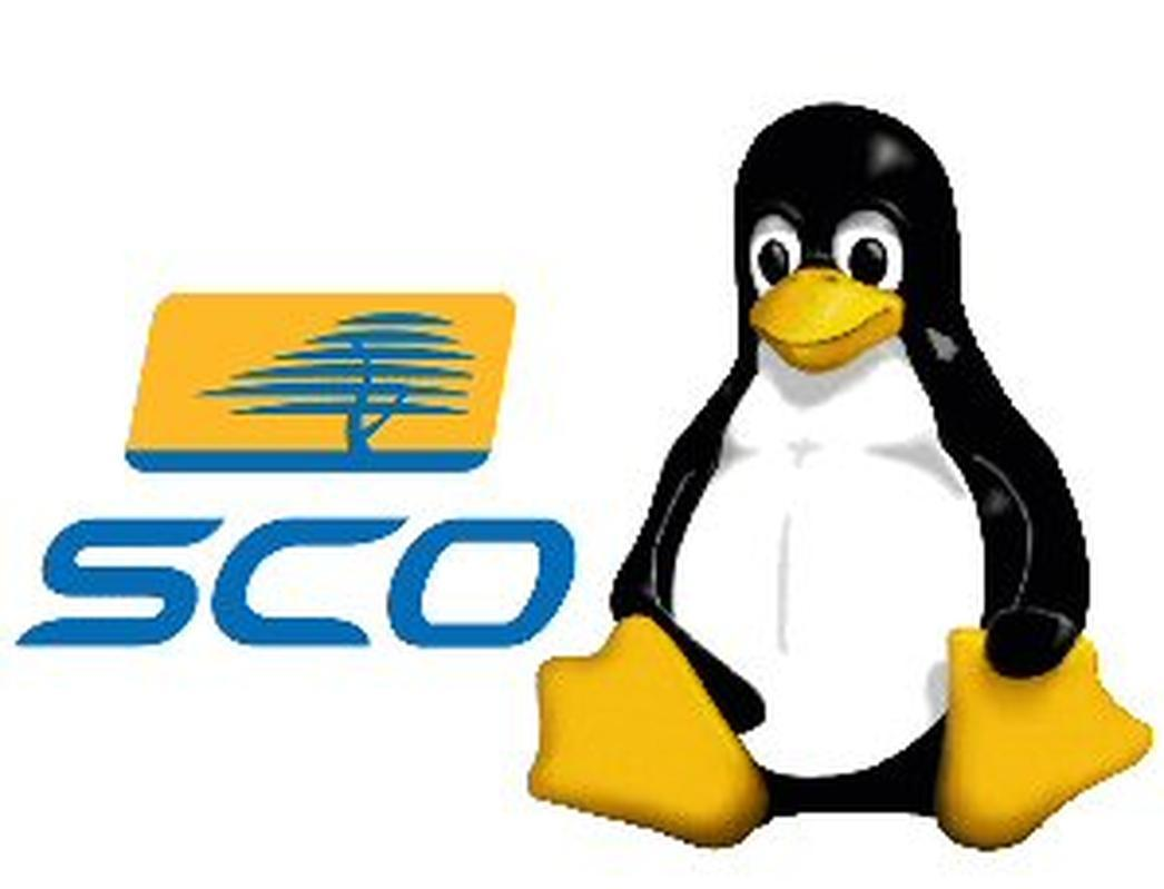 SCO Linux大战开始
2003年，由SCO Unix和Caldera Linux组成的SCO重新回顾Linux的历史，并起诉IBM和其他公司侵权，试图证明Linux抄袭Unix。尽管这些公司败诉，但其FUD对Linux的商业扩展造成了很多困扰。