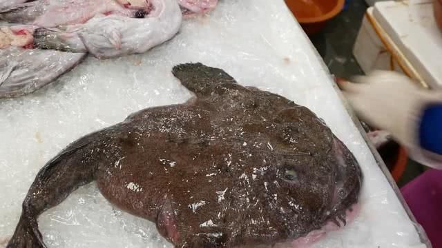 去韩国旅游,花2000元吃了这只"海鬼鱼",你看看值吗?