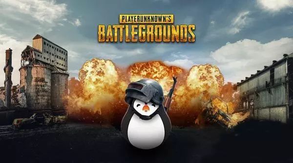 绝地求生国服上线时间无限延期 网友预测上半