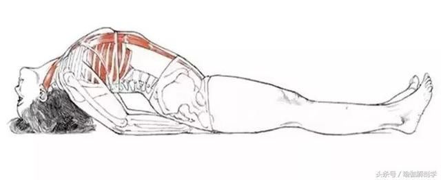 简单的瑜伽鱼式不简单,你做对了吗?