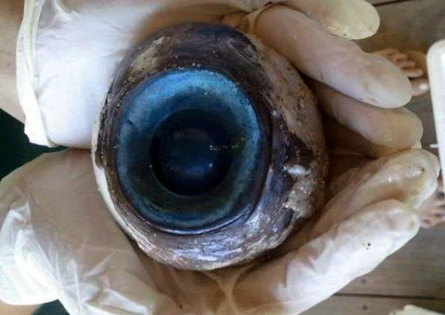 盘点那些大海送给人类的东西