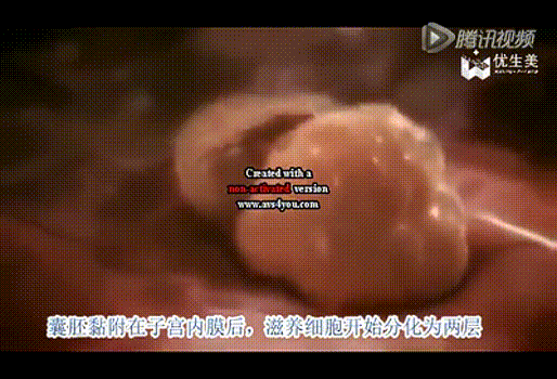 514_350gif 动态图 动图