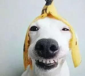 抖音6人9元吃垮海底捞,一顿操作猛如虎,最后只