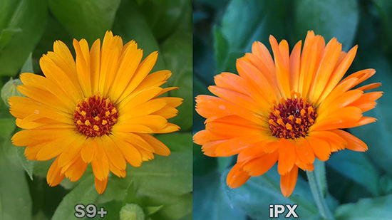 三星s9 对比iphone x:拍摄差距明显, 但双光圈优势在哪?