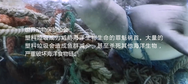 世界海洋日,沈阳海洋探索中心发起卧龙湖