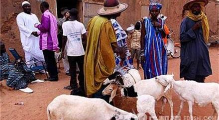 韩国高中女生失踪 疑与父亲好友有关系死因仍