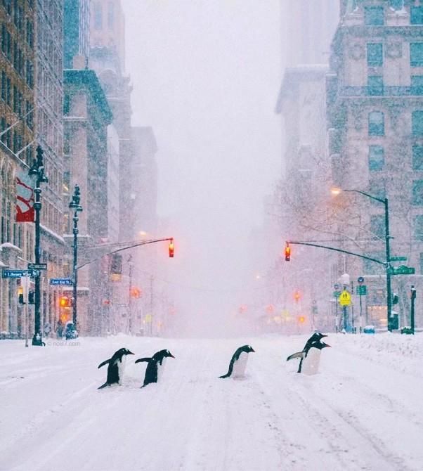 别再用美图秀秀了,这几款专业、实用P图软件提