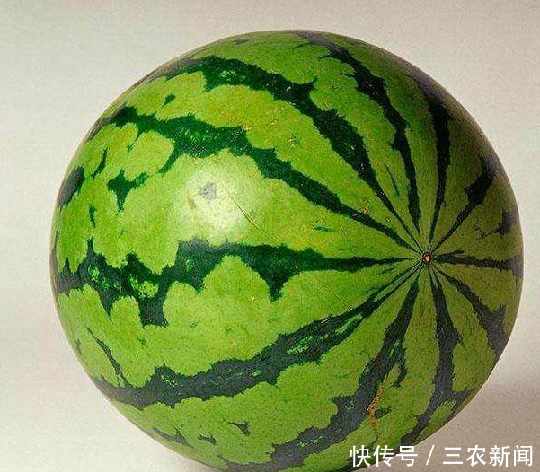 怎么选西瓜才好吃?随便学会一个,轻松挑出好吃