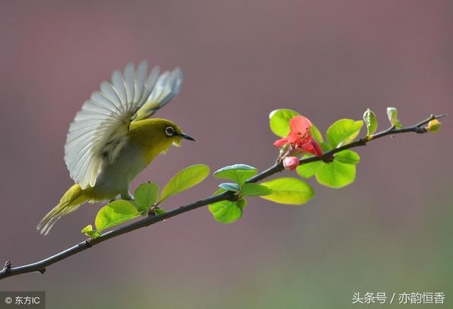 祝你岁月无波澜,敬我余生不悲欢…