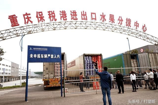 可吃到最新鲜进口水果 泰国龙眼越南火龙果采