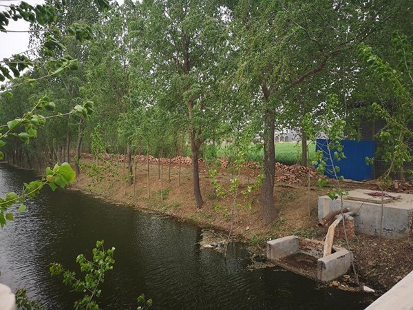 河北邯郸市政府网站4月17日通报指出，4月16日晚，邯郸市政府组成调查组进驻曲周县，就网传该县寺头后街村“违法占地建设私人宅院”依法依规深入全面调查。待调查核实有关情况后，及时公布。图为被拆除的外围院墙。