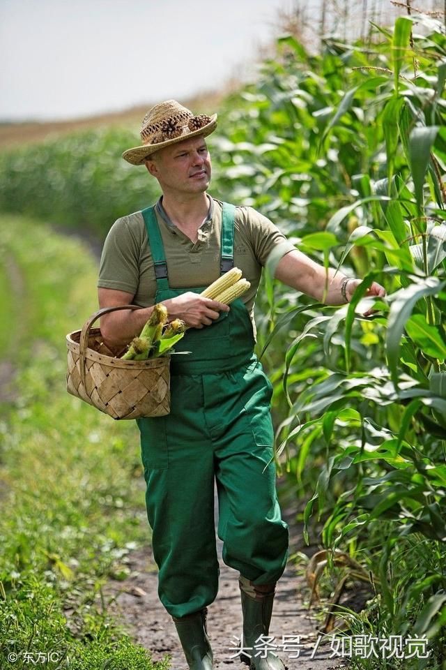 镜头下,俄罗斯农民的农村日常生活10张图,与我