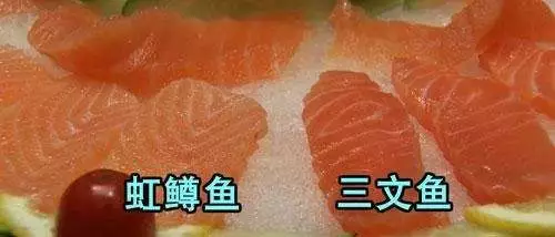 虹鳟鱼究竟是不是三文鱼?先把争议放一边,教你