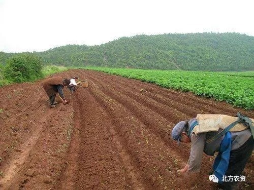 关于轮作休耕试点,农业农村部最新消息!