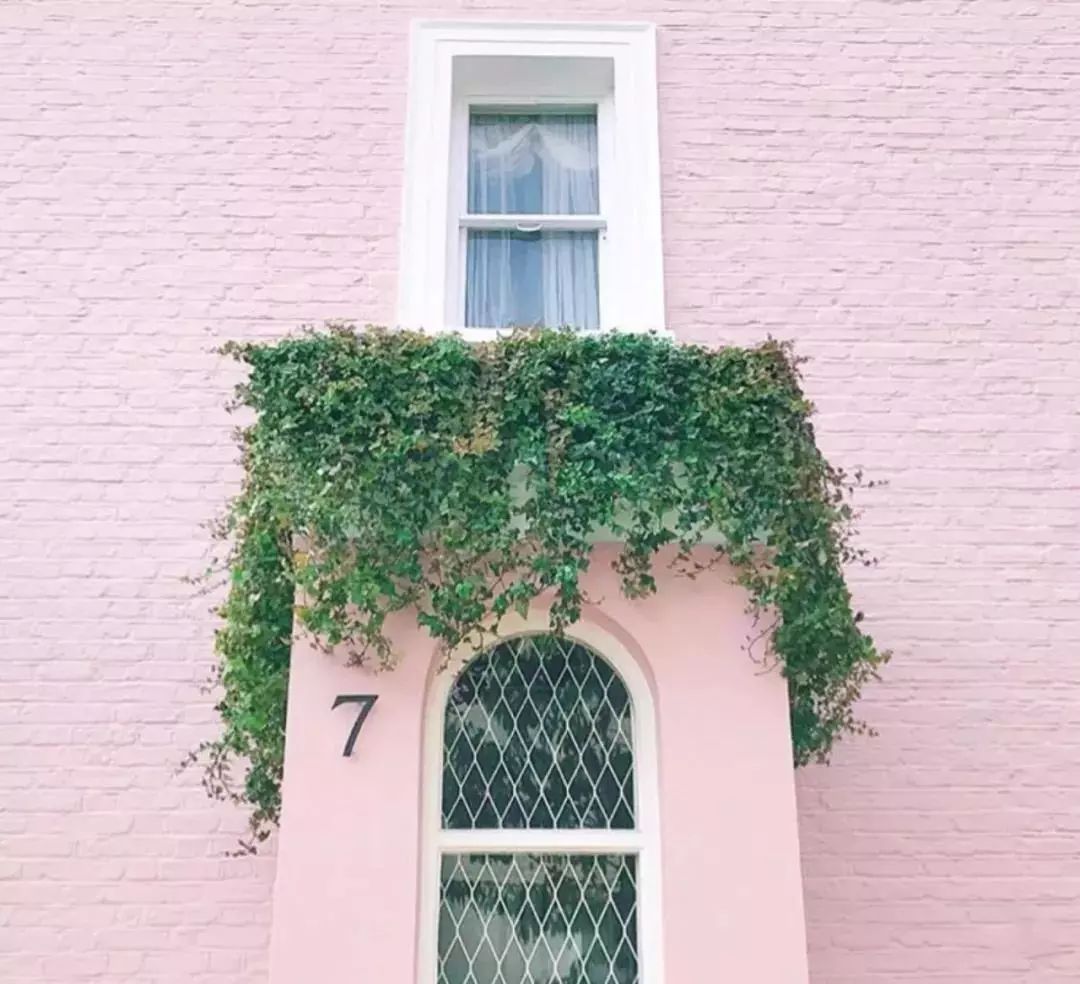 90后姑娘朋友圈消失2年 随后发的照片惊艳众人