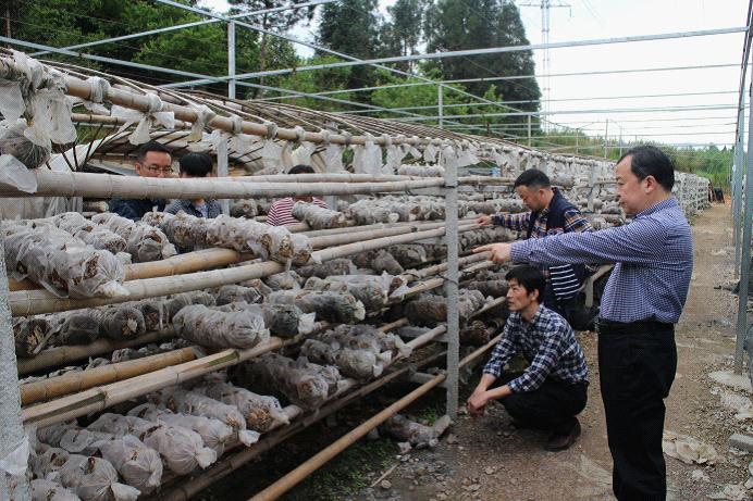 北省通山县审计局强化水库移民后扶项目资金跟