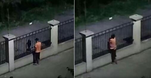 @橘红色天空下奔跑的0：翻墙嘛 好简单的事
还有一些单身网友表示拒吃狗粮。
@香港信华教育集团：您好 对方已拒收您的狗粮
@郫都区区长：有考虑中间那个栅栏的感受吗
@我醉了她的酒：爱情的甜蜜和激情都是你们的，孤独就留给我吧
@六小虫虫：考虑到单身狗的想法没
@Vincent为什么要叫Vincent：曾经 我和送外卖的阿姨也是站在栏杆前 深情对望 一个望着食物 一个望着钱