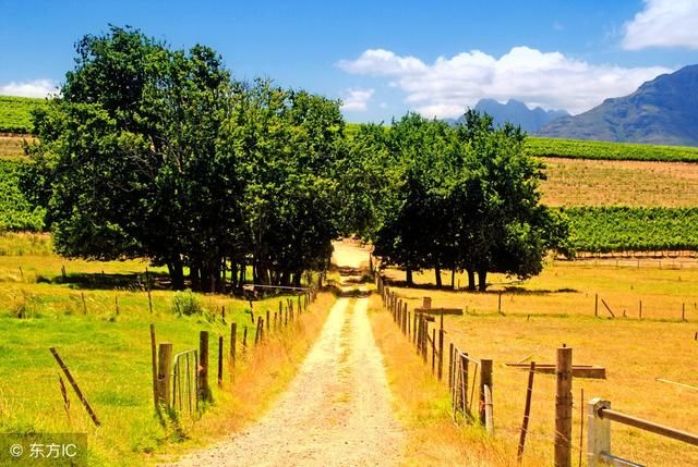 农村年味淡,农村生活难,农村会不会消失?这些