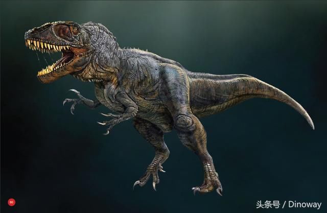 南巨龙:与阿根廷龙媲美的巨兽