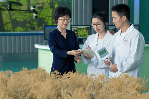 未来农业预测师朱艳:打一场食物短缺“阻击战” 未来农业预测师朱艳:打一场食物短缺“阻击战”