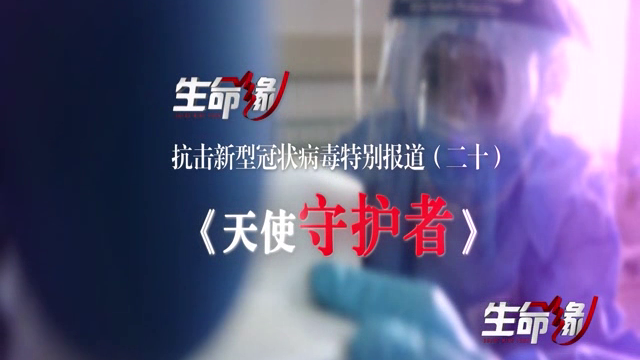 《生命缘》20200218特别报道（二十）天使守护者