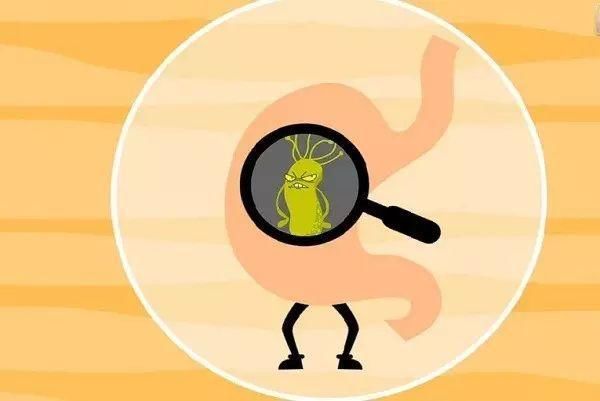 为什么会传染幽门螺旋杆菌?你很有可能吃了人