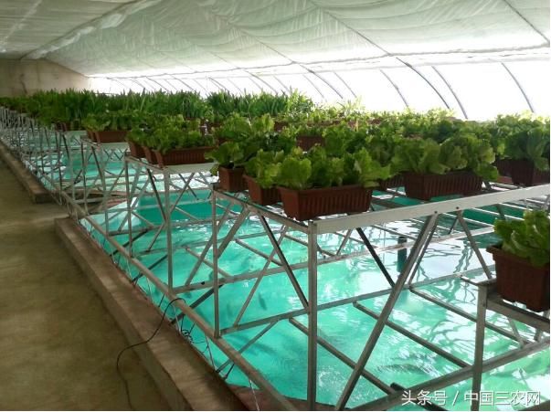 2018年国家对光伏农业大棚有哪些补贴?一个大