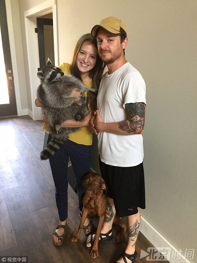 由于浣熊琼实在太过可爱，贝瑟妮一点都下不了狠心。在这两年多的时间里，她一直和琼同吃同睡，甚至还会给它吃“冷冻蓝莓小吃”，将它照顾得越来越胖。“我们试图在她足够强壮的时候把她放回野外。我们把她的笼子打开，把门打开。我从经验中知道，许多拯救浣熊变得好奇，并有勇气离开，但显然琼并不是。”