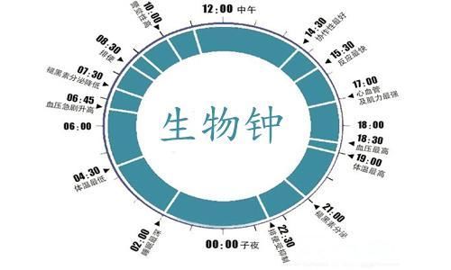 正确的长高睡姿:这样睡觉,帮助你长得更高!