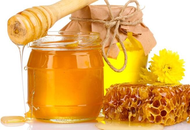 海归硕士毅然决然返还农村创业,年收入近千万