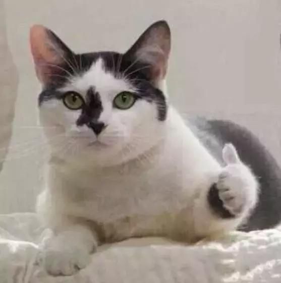 判决落水者补偿25万!见义勇为者状告受益者,还