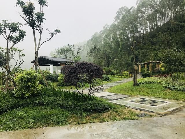 一大学教授谈乡村振兴,根本就是要解决钱从哪