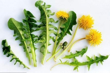 幽门螺旋杆菌能自愈吗?常吃这6种食物,它们是