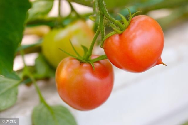 18034期大乐透私藏杀号分享,希望和上期一样