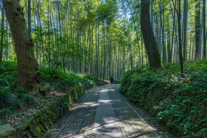 杭州西湖边最美的竹景,康熙乾隆来过多次门票8元