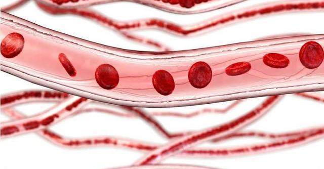 老犯困会是大病先兆,一旦发现赶紧查,别等到心