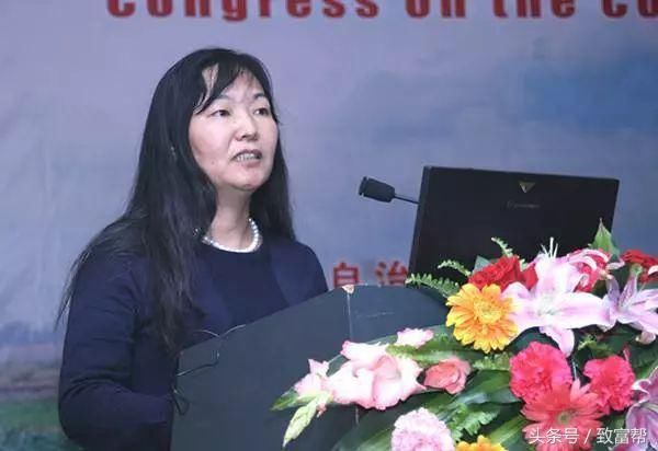 马铃薯新品种,亩产超过1万元