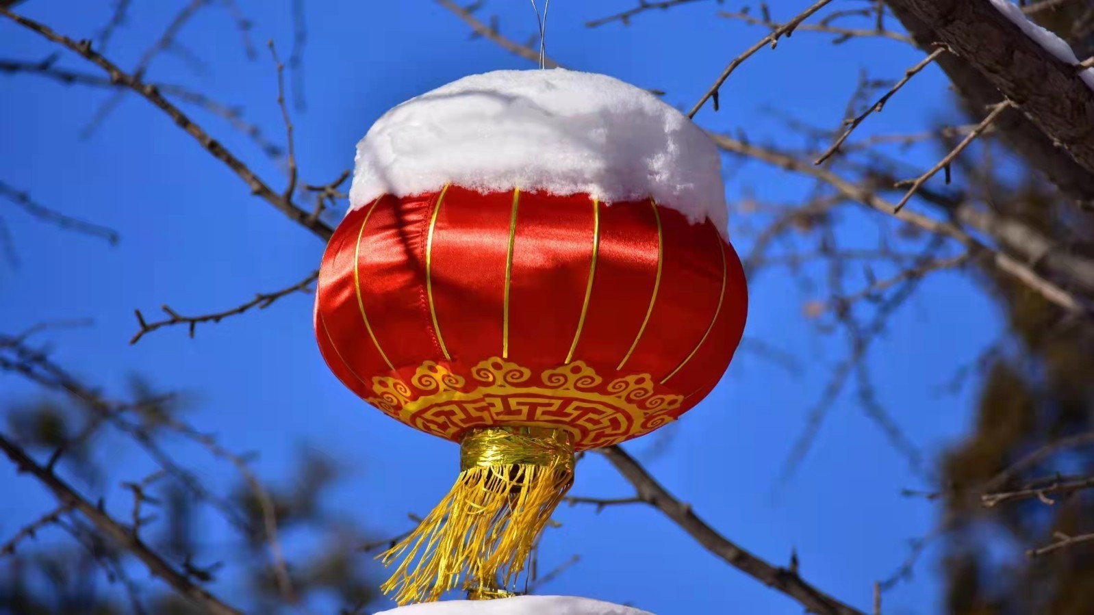 白雪映红灯秒变雪容融 白雪映红灯秒变雪容融