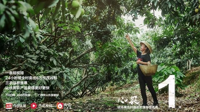 农村电商网红,年入一千万,需要什么的条件和机