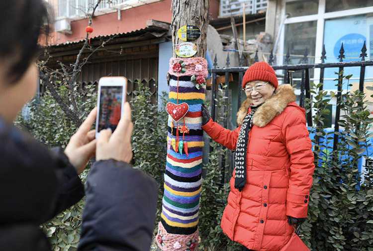 现在,大树都穿上了五彩缤纷的新衣服