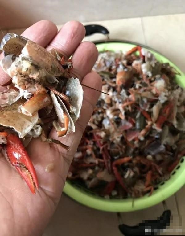 余姚一网友跟风抖音:5斤小龙虾扔洗衣机洗,网