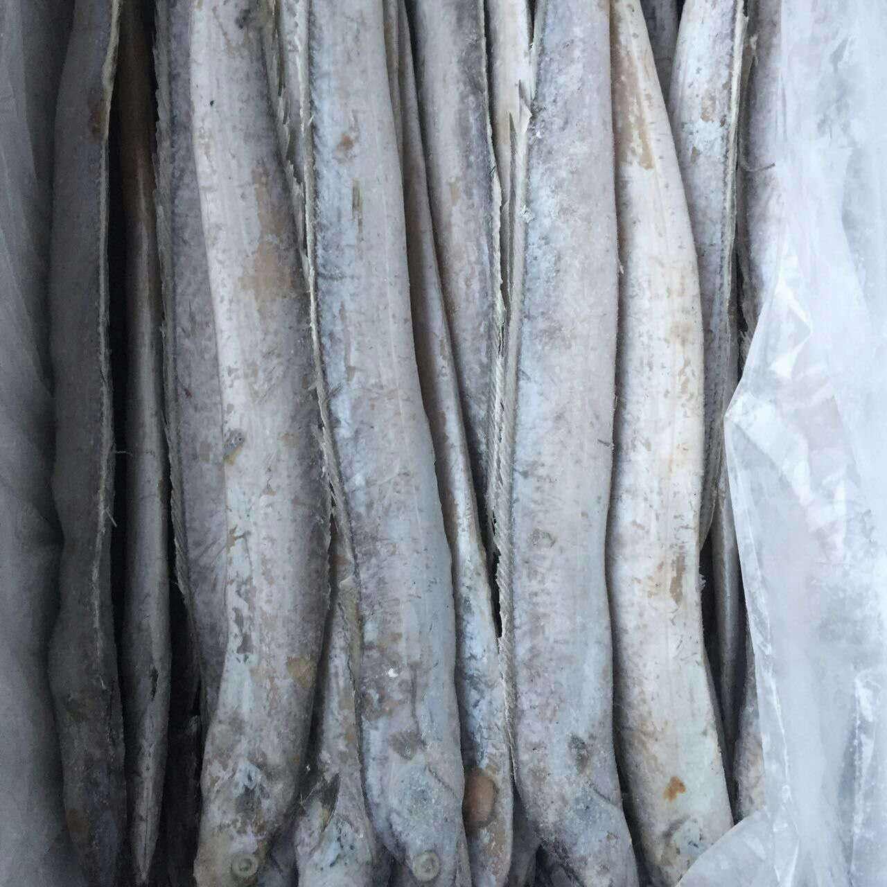 带鱼跟它天生犯冲,皮肤过敏者忌食,一起吃还