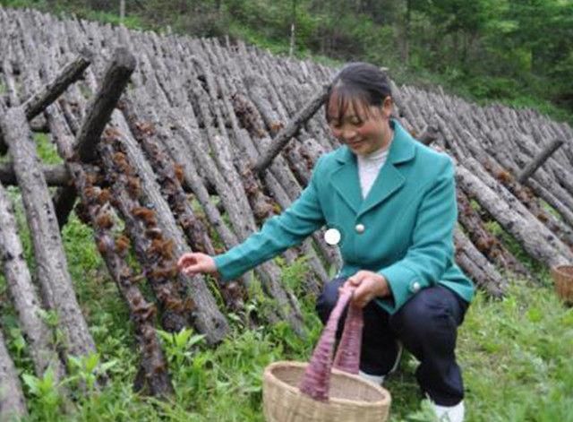 50岁以上的农民工怎么养老?国家来给你补贴,不