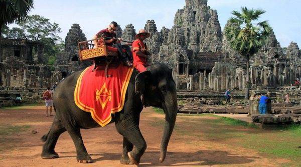 2020年起 柬埔寨吴哥窟禁止骑大象(图1)
