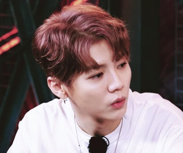 baby学历,邓超学历,陈赫学历,李晨学历,跑男团