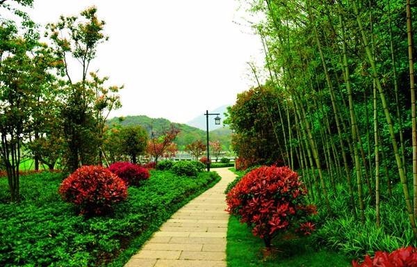 鲲鹏建服:园林资质取消后企业应如何参与园林